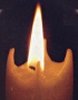 fingers of wax encircle the candle flame