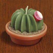 Cactus candle, 2.5 x 3.5 inch
