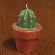 cactus candle, 3x4 inch