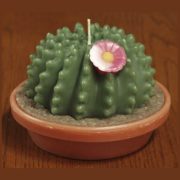 cactus candle, 4x5.5 inch