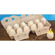 Yoke egg candles are package in authentic cardboard egg cartons