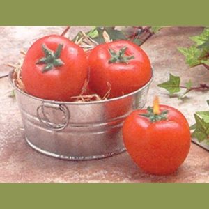 Tomato candles in mini wash tubs