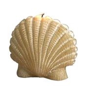 scallop seashell candles